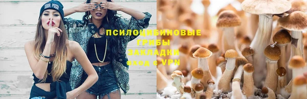 прущие крисы Алзамай