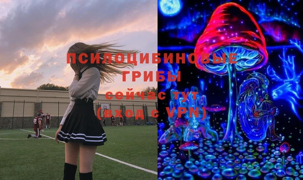 прущие крисы Алзамай