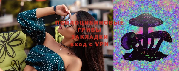 прущие крисы Алзамай