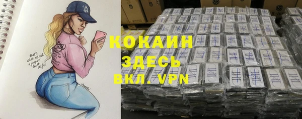 дживик Алексин